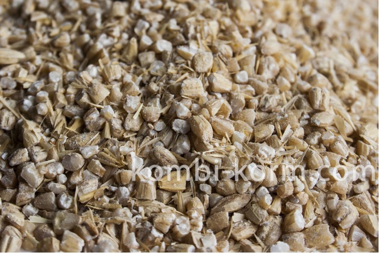 Зерно ячмень дробленый (30 кг)